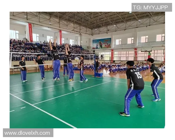 成都羽毛球队的团队协作精神与成功之道探讨